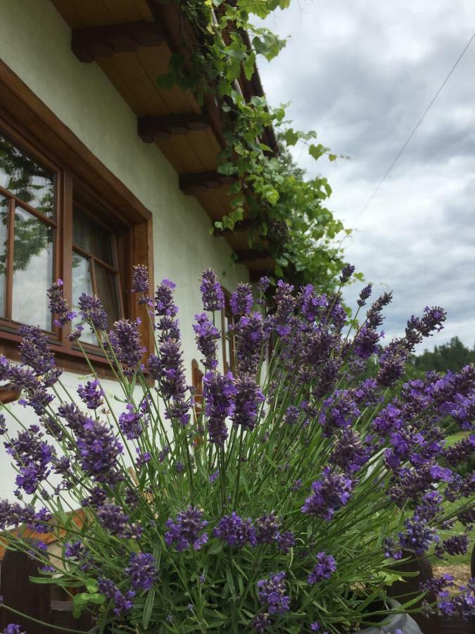 Dom Rodziny Sojkow Bed & Breakfast เบียลกาตัทร์ชันสกา ภายนอก รูปภาพ